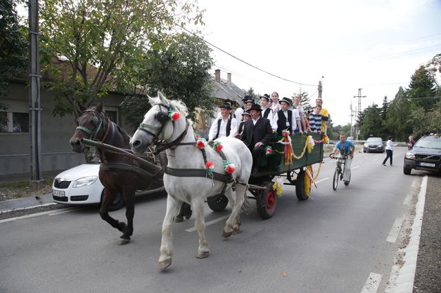 20140927_Szuretifesztival_Gyorsan_Valamit_045